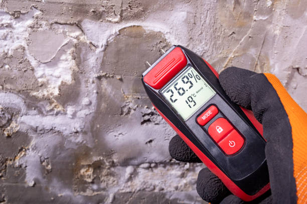 Crawl Space Mold Removal in Richmond, TX