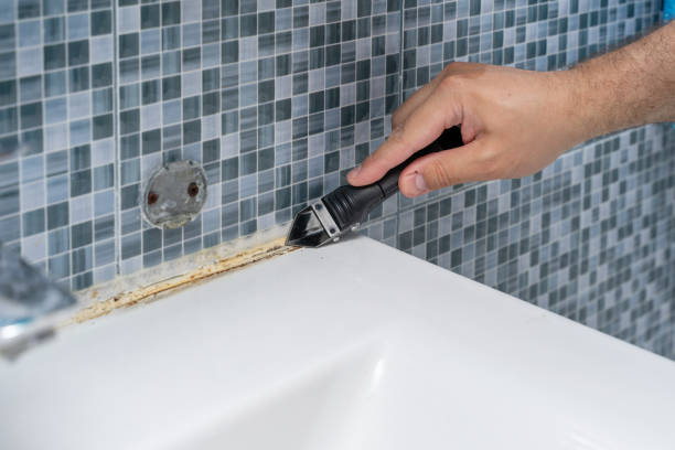 Best Office Mold Removal Services  in Richmond, TX