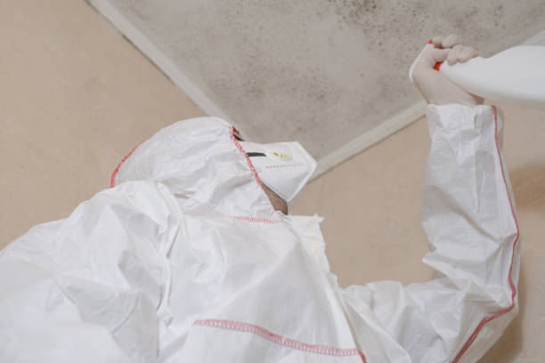 Best Professional Mold Removal  in Richmond, TX