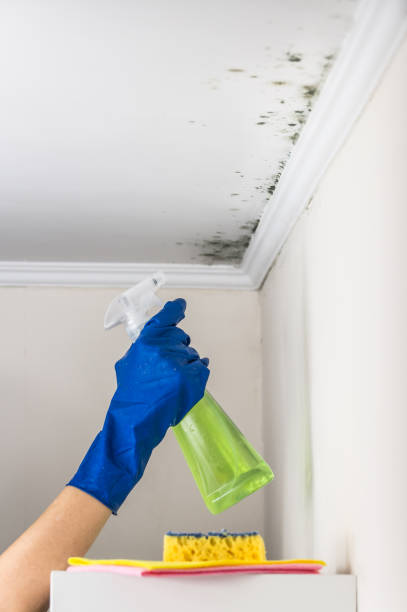 Crawl Space Mold Removal in Richmond, TX